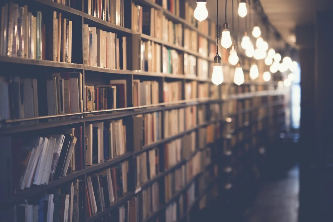 Books arranged on library shelves